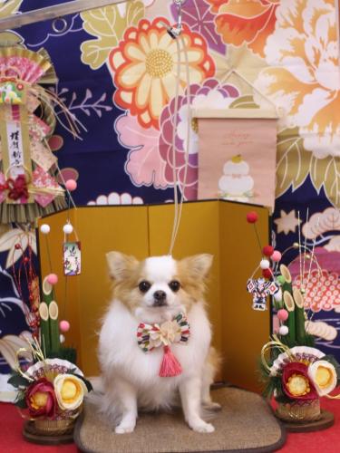 20240124りくくん